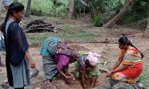 மரக்கன்றுகளை நடும் மகளிர் சுய உதவிக் குழுவினர் மரக்கன்றுகளை நடும் மகளிர் சுய உதவிக் குழுவினர்