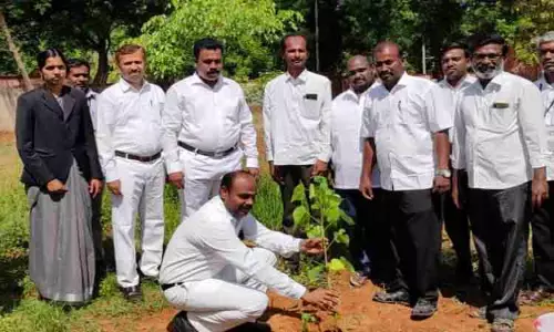 மரக்கன்றுகள் நடும் விழா