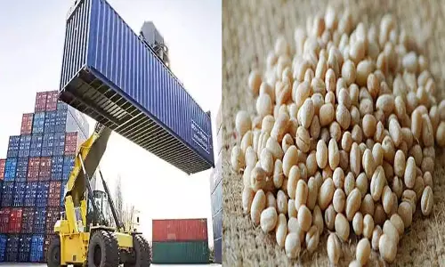 திருவொற்றியூரில் கன்டெய்னர் பெட்டியை உடைத்து 2,300 கிலோ பருப்பு திருட்டு