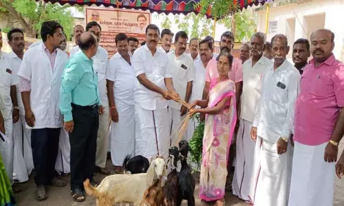விளாத்திகுளம் அருகே 200 பெண் பயனாளிகளுக்கு ஆடுகள் வழங்கல் விளாத்திகுளம் அருகே 200 பெண் பயனாளிகளுக்கு ஆடுகள் வழங்கல்