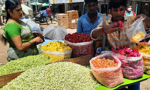 மல்லிகை விலை கிடுகிடு உயர்வு; கிலோ ரூ.1000-க்கு விற்பனை மல்லிகை விலை கிடுகிடு உயர்வு; கிலோ ரூ.1000-க்கு விற்பனை