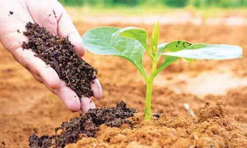 விவசாயிகளுக்கு மானிய விலையில் மதிப்புக்கூட்டு பொருட்கள் விவசாயிகளுக்கு மானிய விலையில் மதிப்புக்கூட்டு பொருட்கள்