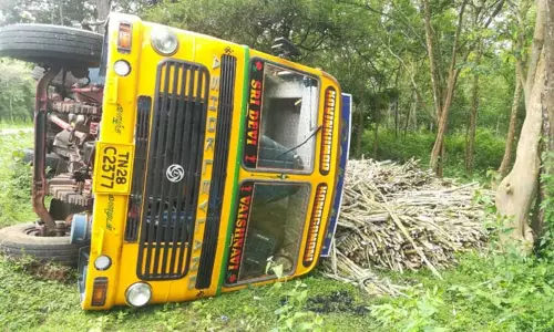 ஆசனூர் அருகே கரும்பு லாரி கவிழ்ந்து விபத்து - கரும்பை சுவைத்த யானைகள்...!