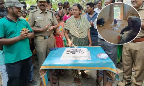 வண்டலூர் பூங்கா: மனித குரங்கு குட்டியின் பிறந்தநாள் கேக் வெட்டி கொண்டாட்டம் வண்டலூர் பூங்கா: மனித குரங்கு குட்டியின் பிறந்தநாள் கேக் வெட்டி கொண்டாட்டம்