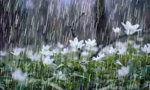 நாமக்கல்லில் லேசான மழைக்கு வாய்ப்பு நாமக்கல்லில் லேசான மழைக்கு வாய்ப்பு