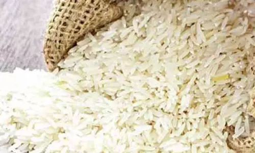 கேரளாவுக்கு கடத்த முயன்ற 6¾ டன் ரேஷன் அரிசி பறிமுதல் 5 பேர் கைது கேரளாவுக்கு கடத்த முயன்ற 6¾ டன் ரேஷன் அரிசி பறிமுதல் 5 பேர் கைது