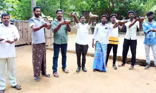 கர்ண புறா பந்தயம்