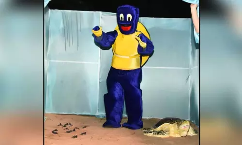 மாமல்லபுரத்தில் அரியவகை ஆமைகளை பாதுகாக்க புதிய குடில்கள்