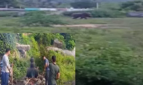 சாராய ஊறலை குடித்துவிட்டு அட்டகாசம் செய்த யானை: பொதுமக்கள் அச்சம் - பரபரப்பு சம்பவம் சாராய ஊறலை குடித்துவிட்டு அட்டகாசம் செய்த யானை: பொதுமக்கள் அச்சம் - பரபரப்பு சம்பவம்