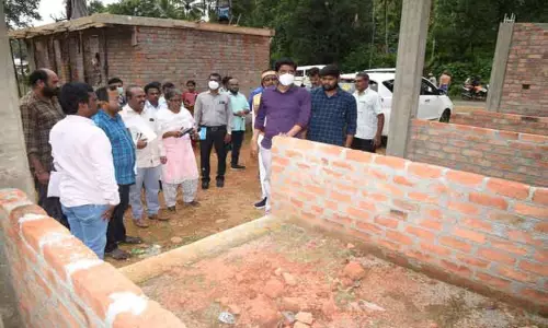 வளர்ச்சி பணிகளை கலெக்டர் ஆய்வு