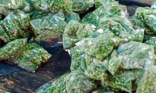 30 கிலோ ரசாயனம் தடவிய பச்சை பட்டாணி பறிமுதல்