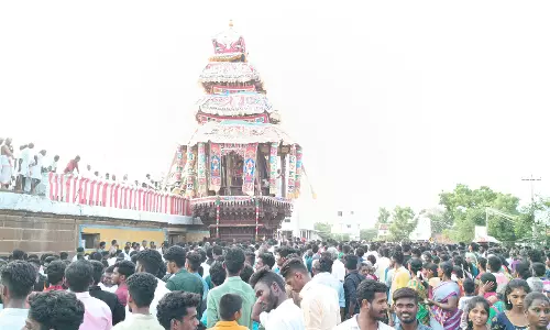 திருவாடானையில் சினேகவல்லிஅம்மன் கோவில் தேரோட்டம்