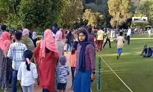 ஊட்டி தாவரவியல் பூங்காவில் 20 ஆயிரம் சுற்றுலா பயணிகள் வருகை