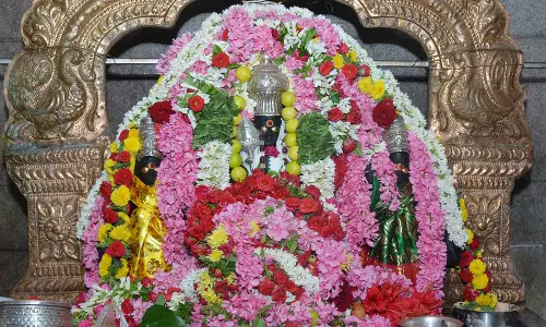 வைகாசி விசாகம்: முருகன் கோவில்களில் சிறப்பு பூஜை வைகாசி விசாகம்: முருகன் கோவில்களில் சிறப்பு பூஜை
