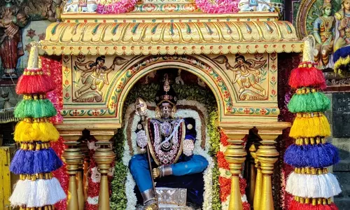 வைகாசி விசாகத்ைதயொட்டி முருகன் கோவில்களில் சிறப்பு வழிபாடு திரளான பக்தர்கள் சாமி தரிசனம் வைகாசி விசாகத்ைதயொட்டி முருகன் கோவில்களில் சிறப்பு வழிபாடு திரளான பக்தர்கள் சாமி தரிசனம்