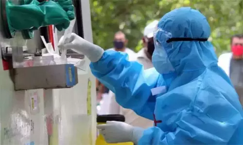 கேரளாவில் புதிய வகை காய்ச்சலுக்கு 2 பேர் சாவு: எலியில் இருந்து பரவுகிறதா? கேரளாவில் புதிய வகை காய்ச்சலுக்கு 2 பேர் சாவு: எலியில் இருந்து பரவுகிறதா?