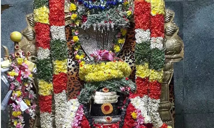 வேளுக்குடி ருத்ர கோடீஸ்வரர் கோவிலில் பிரதோஷ வழிபாடு வேளுக்குடி ருத்ர கோடீஸ்வரர் கோவிலில் பிரதோஷ வழிபாடு