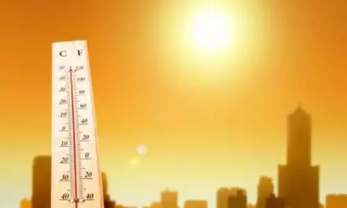 டெல்லியில் கொளுத்தும் வெயில் - வெப்ப அலை வீசும் என வானிலை ஆய்வு மையம் தகவல்