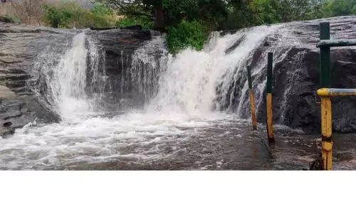 கும்பக்கரை அருவியில் நாளை முதல் சுற்றுலா பயணிகள் குளிக்க தடை