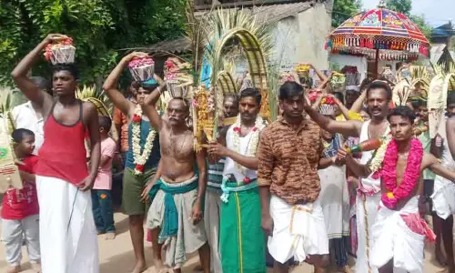 பால தண்டாயுதபாணி சாமி கோவில் பால்குட விழா பால தண்டாயுதபாணி சாமி கோவில் பால்குட விழா