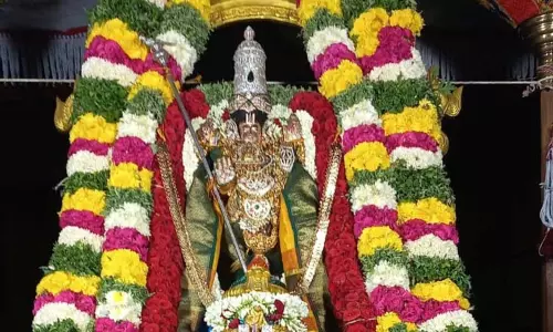 தில்லைகோவிந்தராஜ பெருமாள் கோவிலில் கருடசேவை உற்சவம் தில்லைகோவிந்தராஜ பெருமாள் கோவிலில் கருடசேவை உற்சவம்