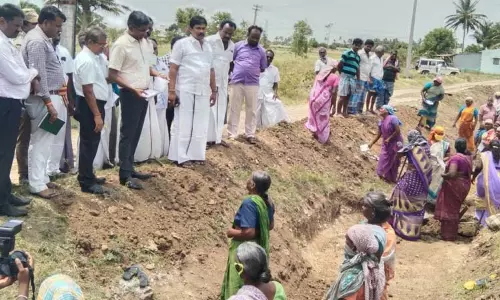 ஓடை தூர்வாரும் பணியை கலெக்டர் ஆய்வு ஓடை தூர்வாரும் பணியை கலெக்டர் ஆய்வு