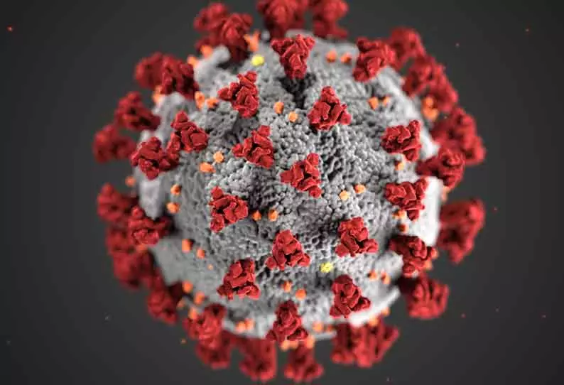 மராட்டியத்தில் கொரோனா வேகமாக பரவினாலும் தொற்று பாதித்தவர்கள் பெரிய சிக்கலை சந்திக்கவில்லை - மருத்துவ நிபுணர்கள் தகவல் மராட்டியத்தில் கொரோனா வேகமாக பரவினாலும் தொற்று பாதித்தவர்கள் பெரிய சிக்கலை சந்திக்கவில்லை - மருத்துவ நிபுணர்கள் தகவல்