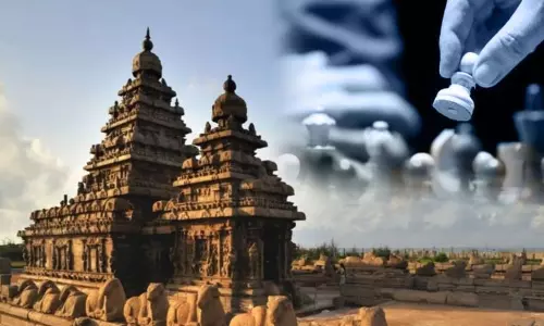 செஸ் ஒலிம்பியாட் போட்டிகள் நடைபெற உள்ளதால் சாலைகளில் சுற்றி திரிந்த பன்றிகள் அகற்றம் - பேரூராட்சி நடவடிக்கை