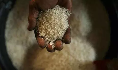 ஓமலூர் அருகே வீட்டில் பதுக்கிய 1 டன் ரேஷன் அரிசி பறிமுதல் ஓமலூர் அருகே வீட்டில் பதுக்கிய 1 டன் ரேஷன் அரிசி பறிமுதல்
