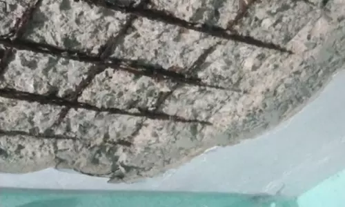 சென்னை ஆயிரம் விளக்கு பகுதியில் வீட்டின் மேற்கூரை திடீரென பெயர்ந்து விழுந்தது - போலீஸ் குடியிருப்பில் பரபரப்பு