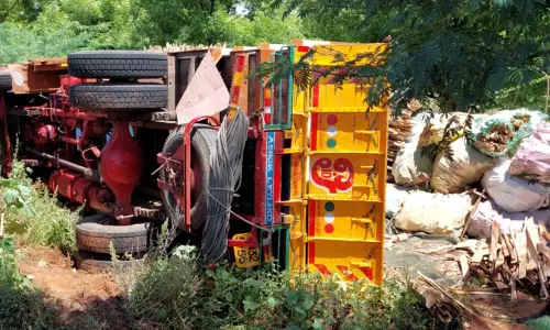 சாலையோர பள்ளத்தில் லாரி கவிழ்ந்து விபத்து -  டிரைவர் காயம்