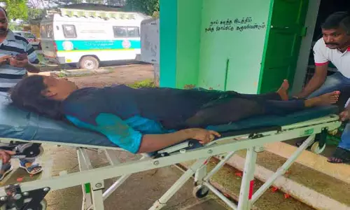 காட்டு யானை தாக்கி பெண் படுகாயம்