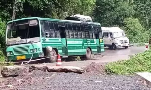 சாலையோர பள்ளத்தில் இறங்கிய அரசு பஸ் சாலையோர பள்ளத்தில் இறங்கிய அரசு பஸ்