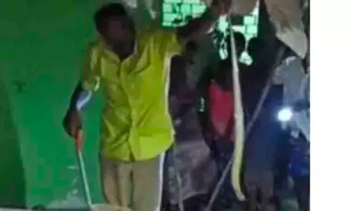 விஷப்பாம்பு பிடிபட்டது விஷப்பாம்பு பிடிபட்டது