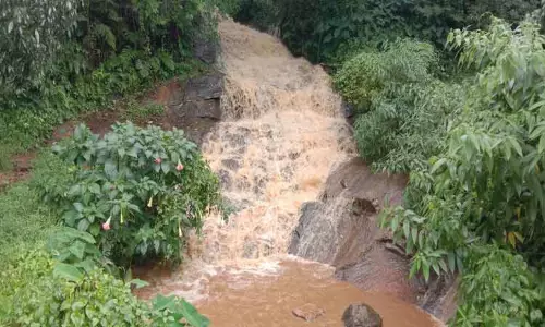 வால்பாறை பகுதியில் மழை: சோலையாறு அணை நீர்மட்டம் 90 அடியை எட்டியது