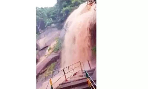திருப்பத்தூர் மாவட்டத்தில் பலத்த மழை திருப்பத்தூர் மாவட்டத்தில் பலத்த மழை