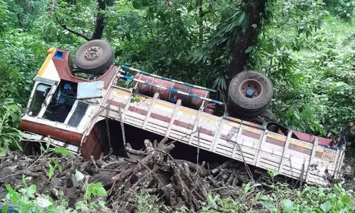 20 அடி பள்ளத்தில் லாரி கவிழ்ந்தது