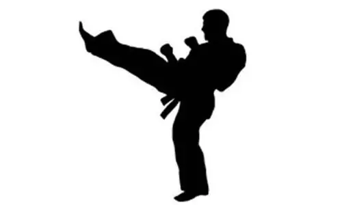 480 போலீசாருக்கு கராத்தே பயிற்சி