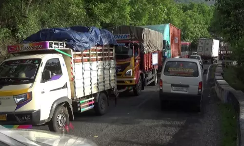 திம்பம் மலைப்பாதையில் சரக்கு வேன் பழுதாகி நின்றது; போக்குவரத்து பாதிப்பு