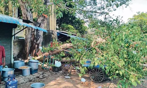 பிராட்வே பஸ் நிறுத்தத்தில் மரக்கிளை முறிந்து விழுந்து 4 பேர் காயம்