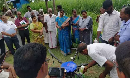 கரும்பு சாகுபடியில் அதிக மகசூல் பெற செயல் விளக்கம் கரும்பு சாகுபடியில் அதிக மகசூல் பெற செயல் விளக்கம்