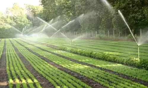 சொட்டு நீர் பாசனத்தின் மூலம் பயிர்களை சாகுபடி செய்ய வேண்டும் சொட்டு நீர் பாசனத்தின் மூலம் பயிர்களை சாகுபடி செய்ய வேண்டும்