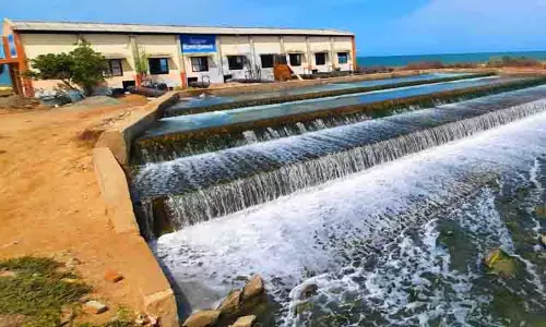 வாலிநோக்கம் அரசு உப்பளங்களுக்கு கடல்நீர் கொண்டு செல்லும் பணி தீவிரம்