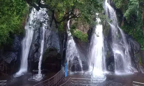 குற்றாலத்தில் தாமதமாகும் சீசன்