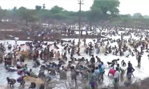 மரவனூர் பெரியகுளத்தில் 16  ஆண்டுகளுக்கு பின் நடைபெற்ற மீன்பிடி திருவிழா