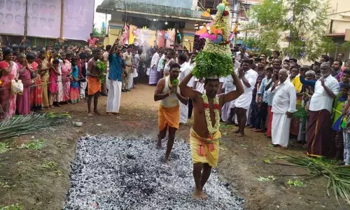 குமராட்சி அருகே    தர்மராஜர் கோவிலில் தீமிதி திருவிழா