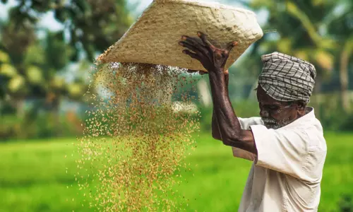 தேசிய நெல் திருவிழா