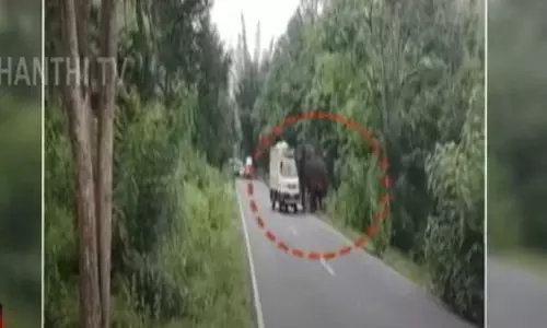 சரக்கு வேனை வழிமறித்து கண்ணாடியை உடைத்து காட்டு யானைகள் அட்டகாசம் சரக்கு வேனை வழிமறித்து கண்ணாடியை உடைத்து காட்டு யானைகள் அட்டகாசம்