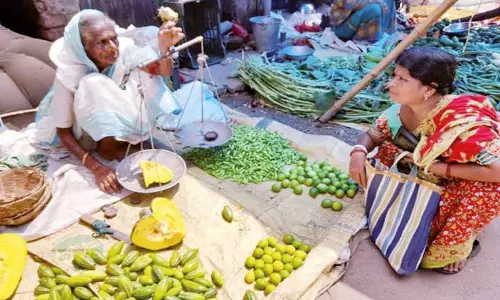 102 வயது மூதாட்டியின் ஓயாத உழைப்பு 102 வயது மூதாட்டியின் ஓயாத உழைப்பு
