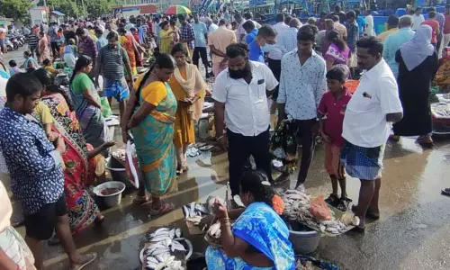 தடைகாலம் முடிந்து முதல் ஞாயிற்றுக்கிழமை என்பதால் கடலூர் துறைமுகம் களைக்கட்டியது வரத்து அதிகரிப்பால் மீன்கள் விலை வீழ்ச்சி தடைகாலம் முடிந்து முதல் ஞாயிற்றுக்கிழமை என்பதால் கடலூர் துறைமுகம் களைக்கட்டியது வரத்து அதிகரிப்பால் மீன்கள் விலை வீழ்ச்சி